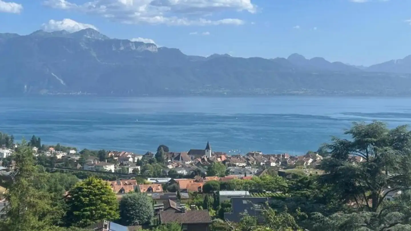 Penthouse for sale - Route De Lavaux, 1095 Lutry - Photo 2