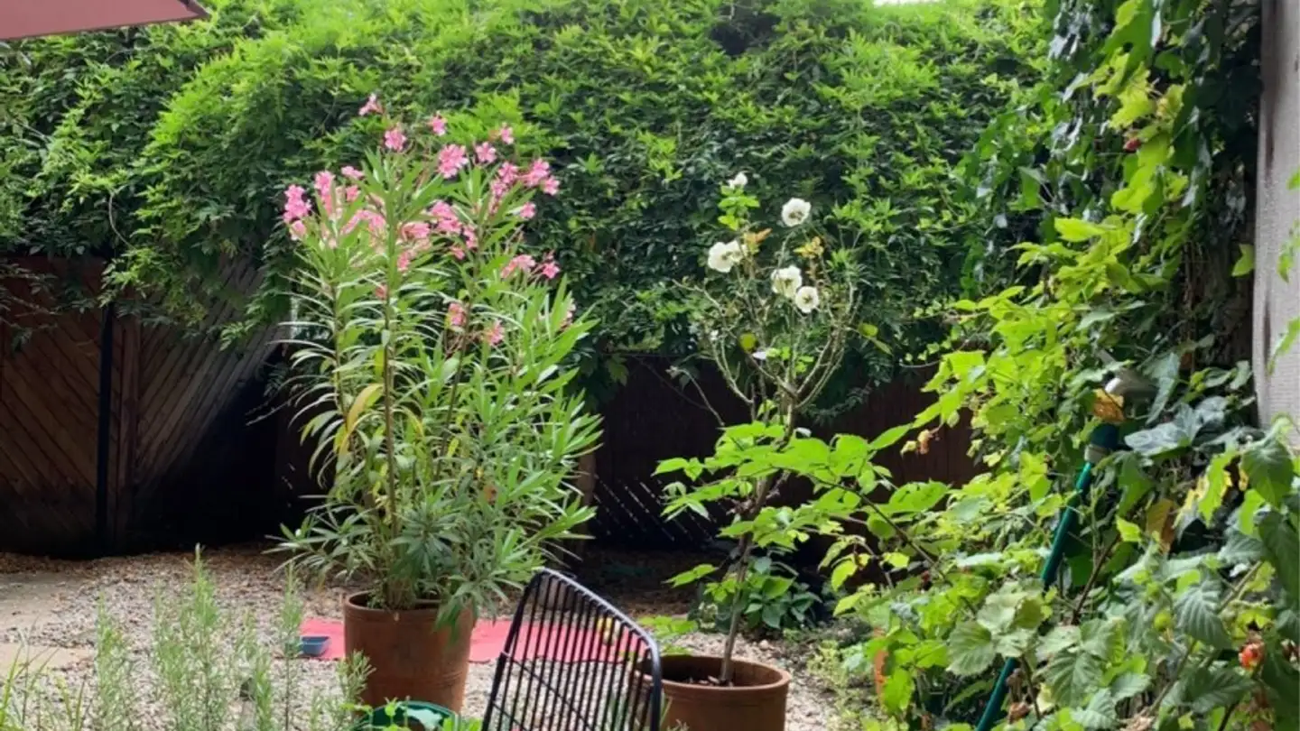 Apartment for rent - Wannerstrasse, 8045 Zürich - Photo 4