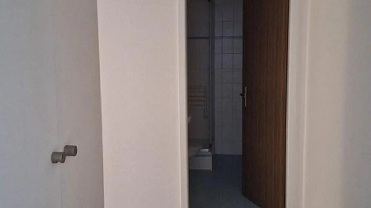 Appartement à louer - Glatttalstrasse 69, 8052 Zürich - Photo 3