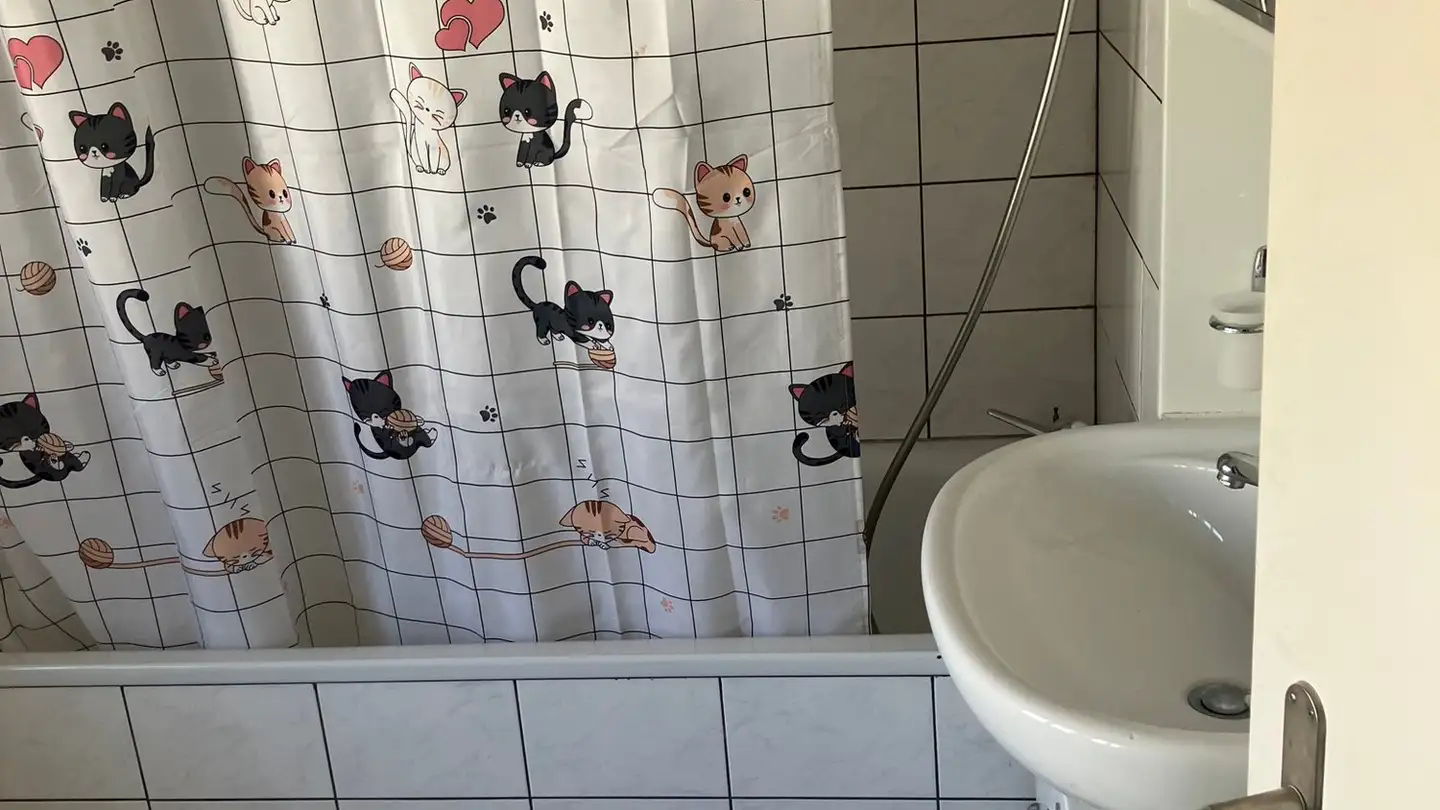 Single room for rent - Paradiesstrasse, 9000 St. Gallen - Photo 3