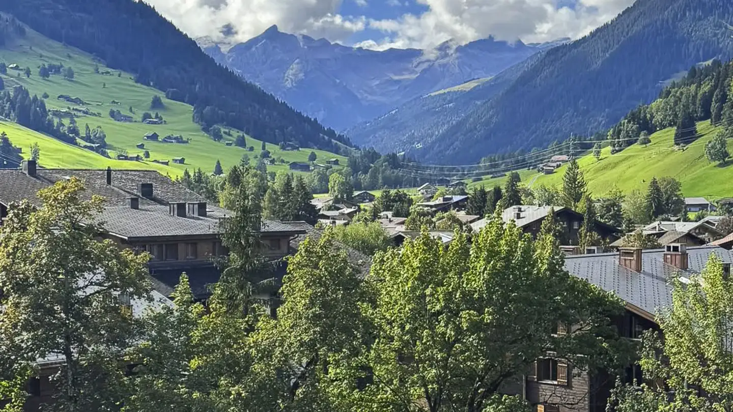 Wohnung kaufen - 3780 Gstaad - Foto 2