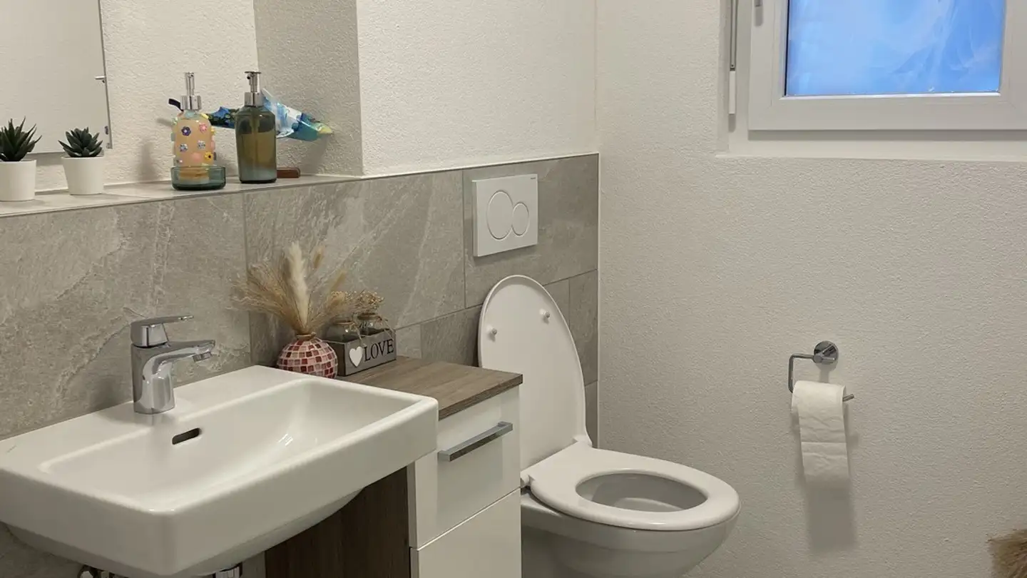 Appartamento in affitto - Rotbuechstrasse 1, 8165 Schleinikon - Foto 4