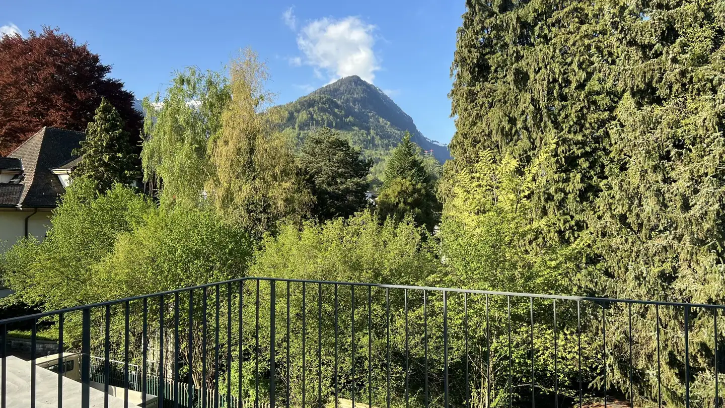 Appartamento in affitto - Jungfraustrasse, 3800 Interlaken - Foto 4