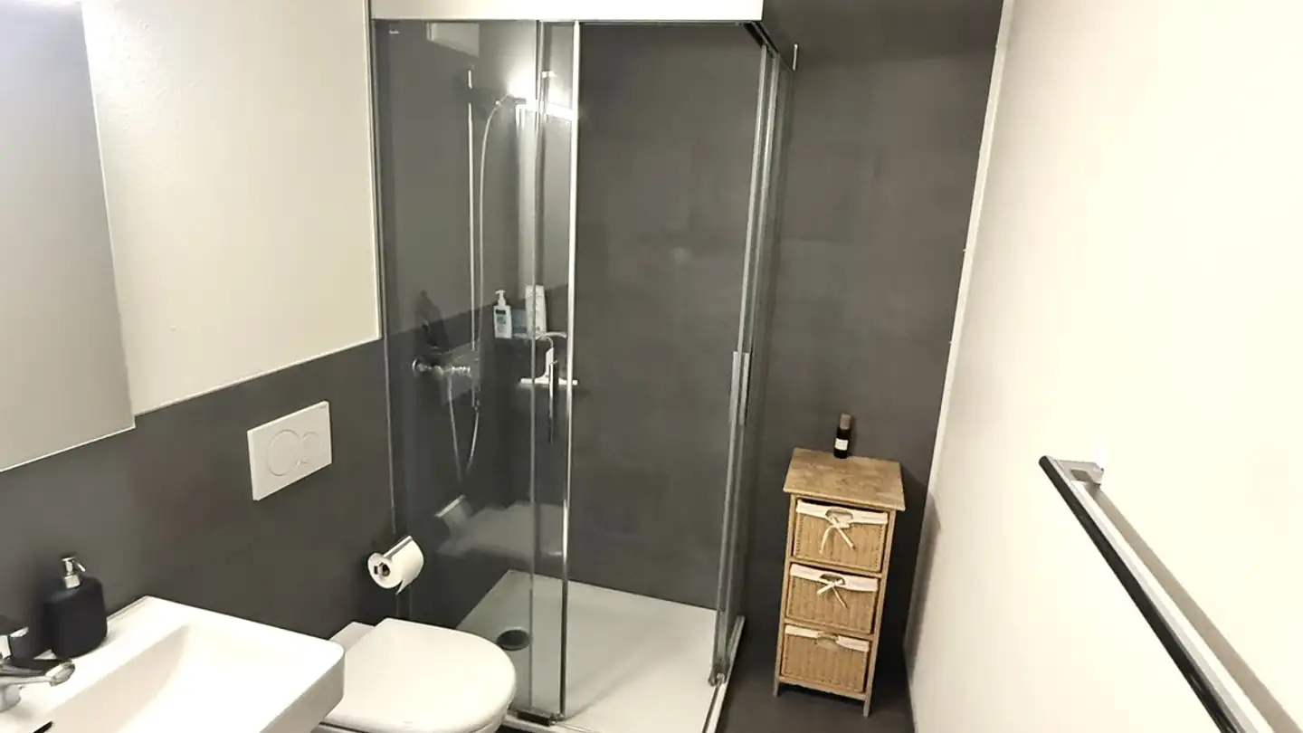 Apartment for rent - Obermattstrasse 82, 8330 Pfäffikon ZH - Photo 4