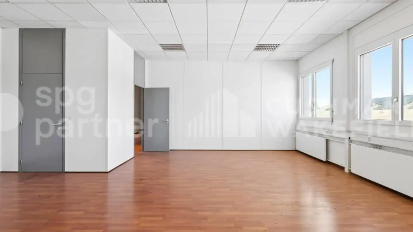 Commercial for sale - Route De Meyrin, 1217 Meyrin - Photo 4