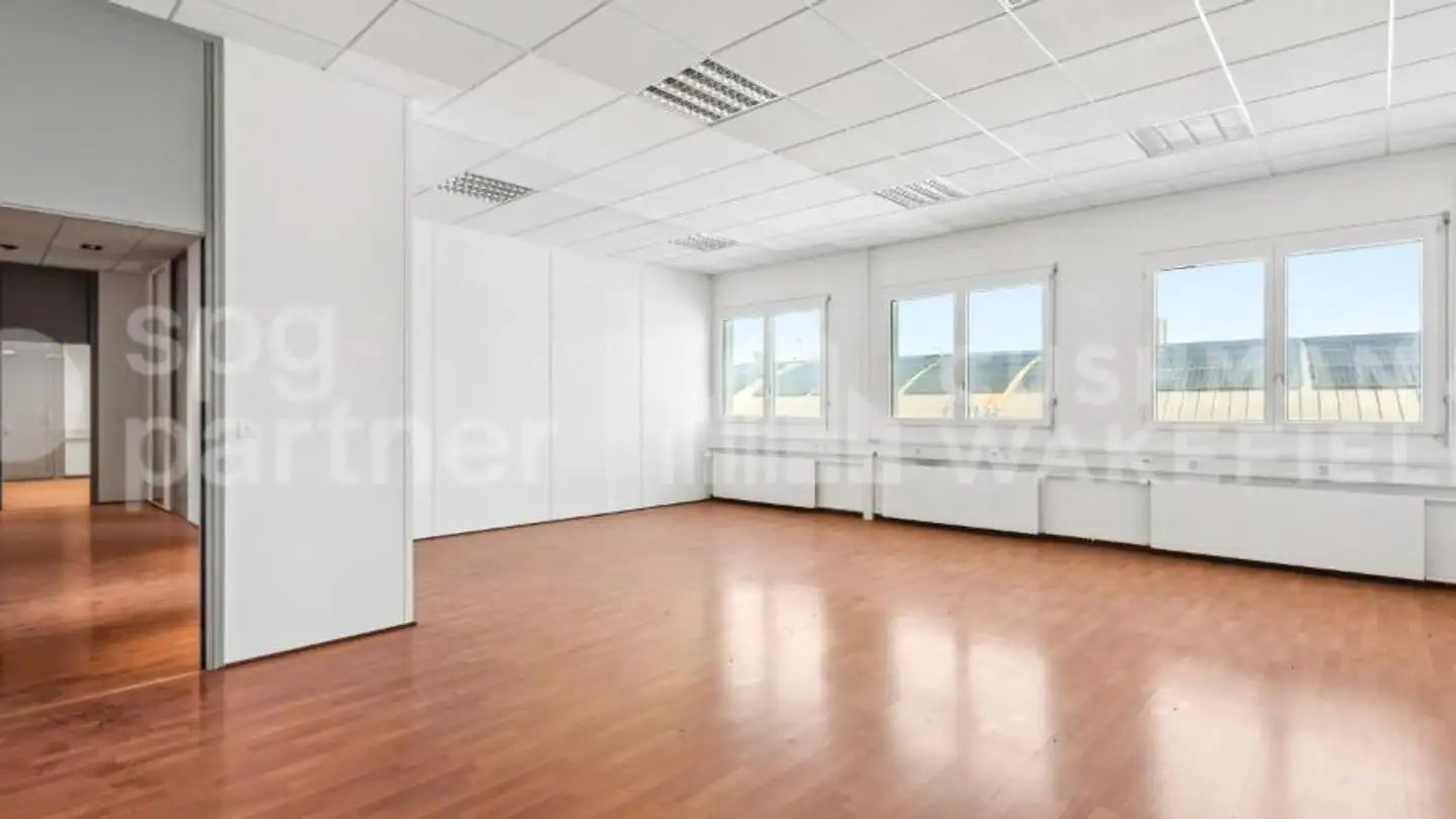 Commercial for sale - Route De Meyrin, 1217 Meyrin - Photo 2