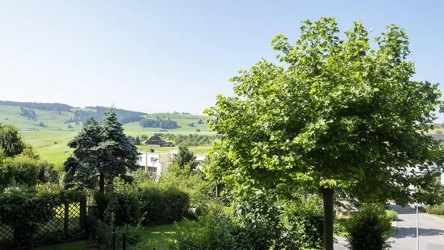 Apartment for sale - 6313 Menzingen