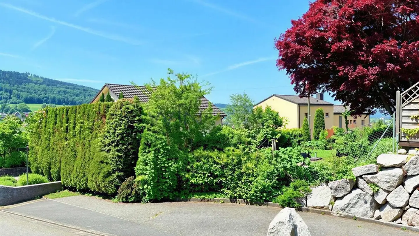 Terreno edificabile in vendita - 5737 Menziken - Foto 3