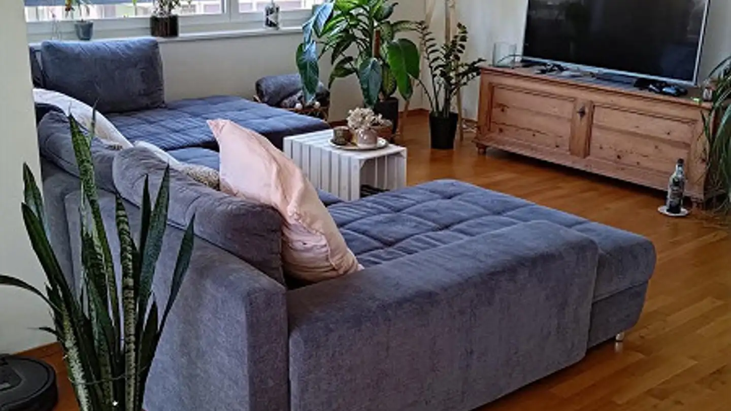 Chambre à louer - Horwerstrasse 34, 6005 Luzern - Photo 2