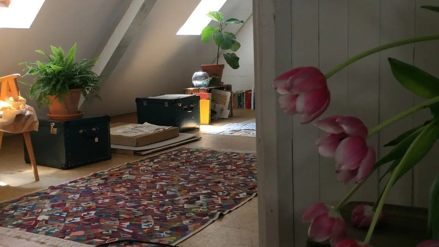 Stanza singola in affitto - Gasometerstrasse 27, 8005 Zürich