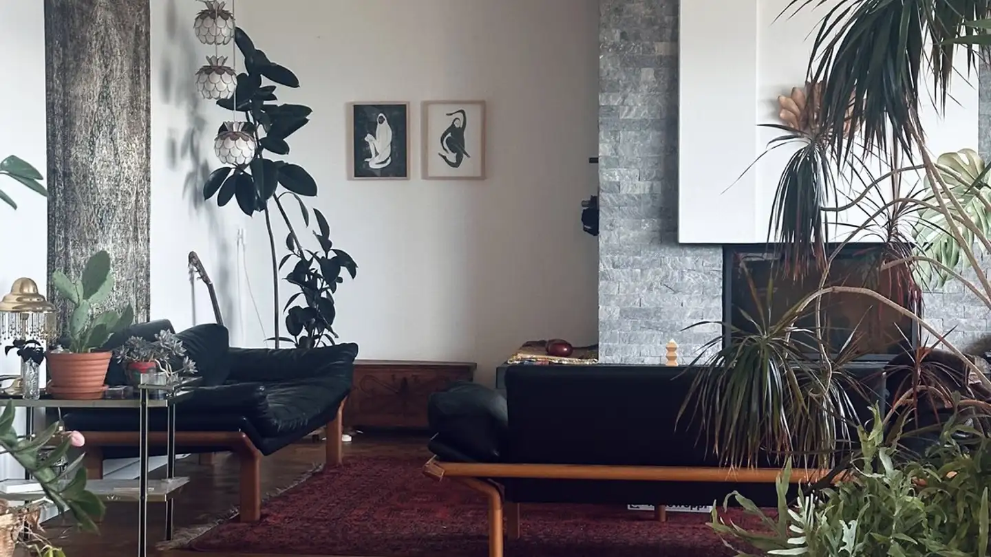 Stanza singola in affitto - 5415 Nussbaumen AG - Photo 3