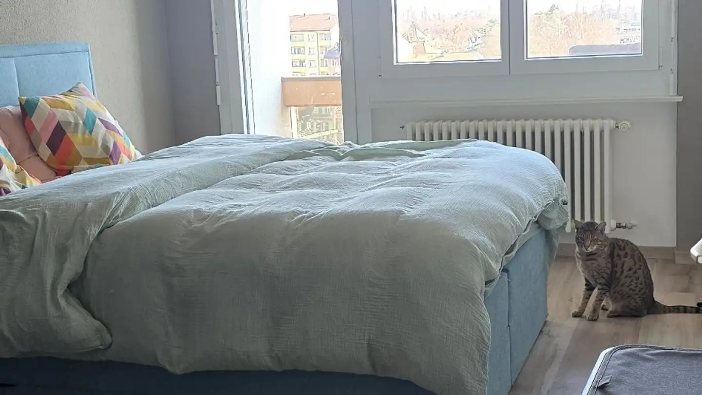 Appartement à louer - 1400 Cheseaux-Noréaz - Photo 3