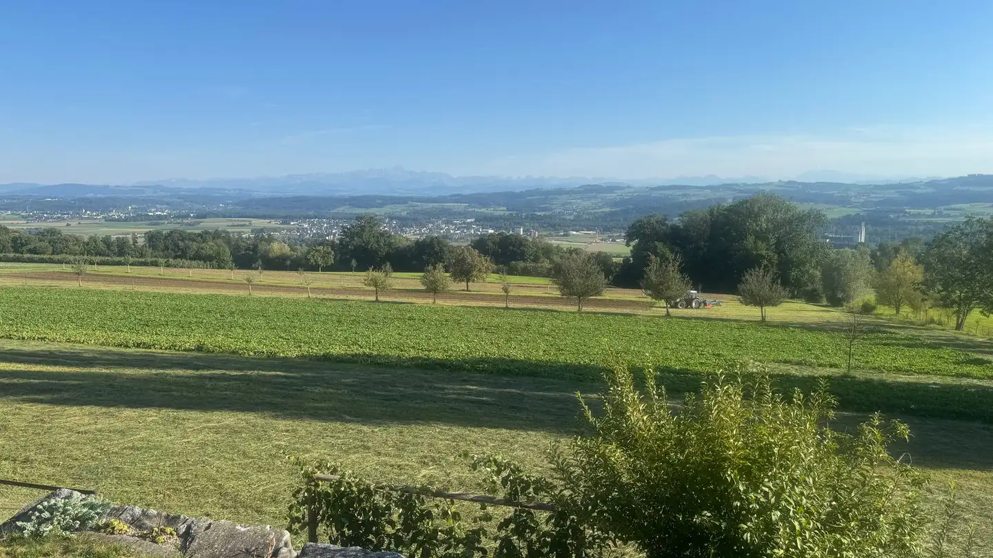 Casa bifamiliare in vendita - 8570 Weinfelden - Foto 2