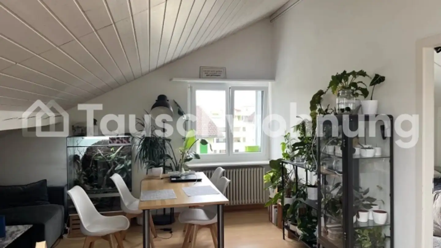 Dachgeschosswohnung mieten - 9435 Heerbrugg