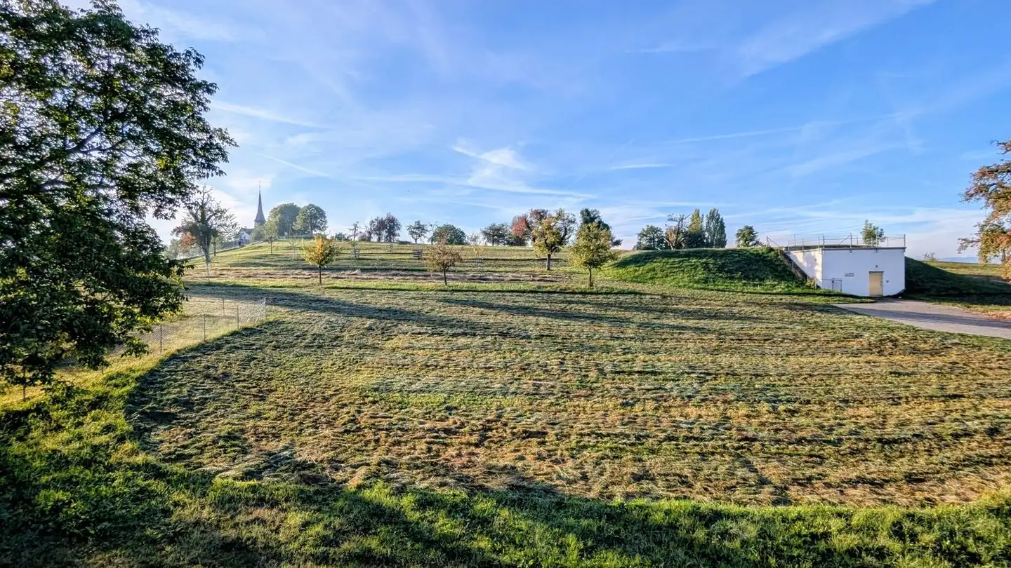 Appartamento in affitto - Witikonerstrasse 380, 8053 Zürich - Foto 2