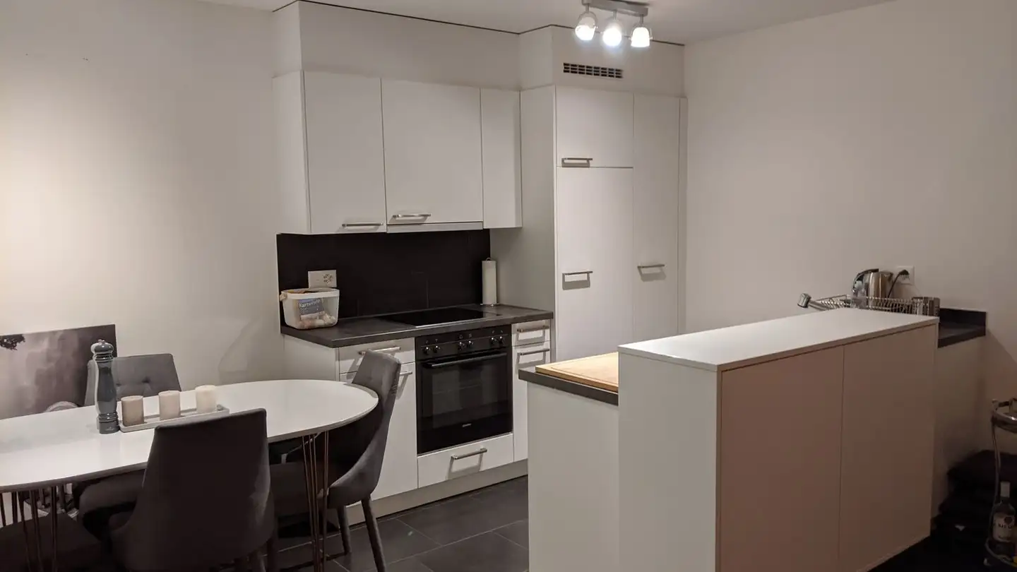Appartamento in affitto - Altwiesenstrasse 346, 8051 Zürich - Foto 2