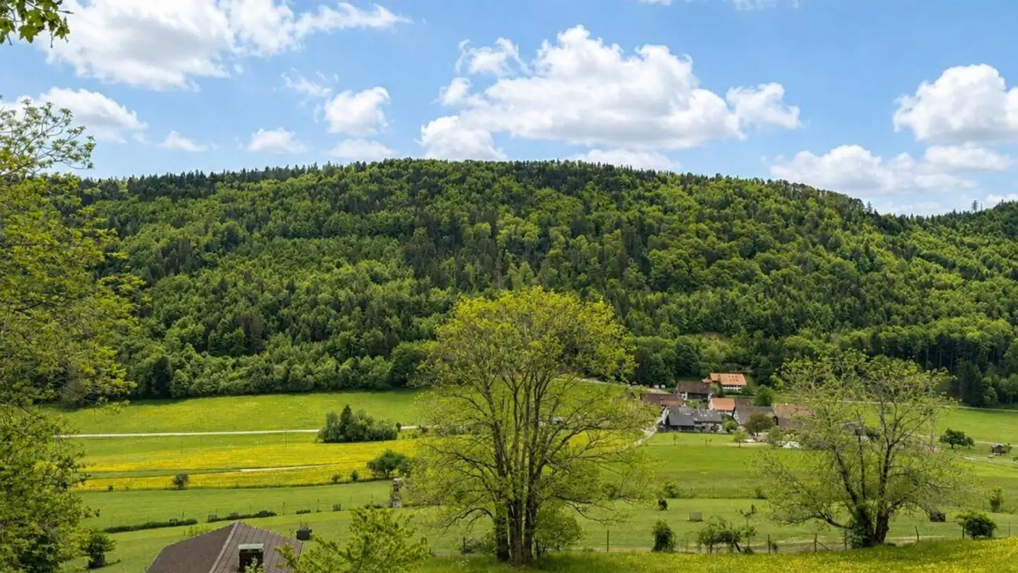 Maison individuelle à vendre - 4438 Langenbruck - Photo 2