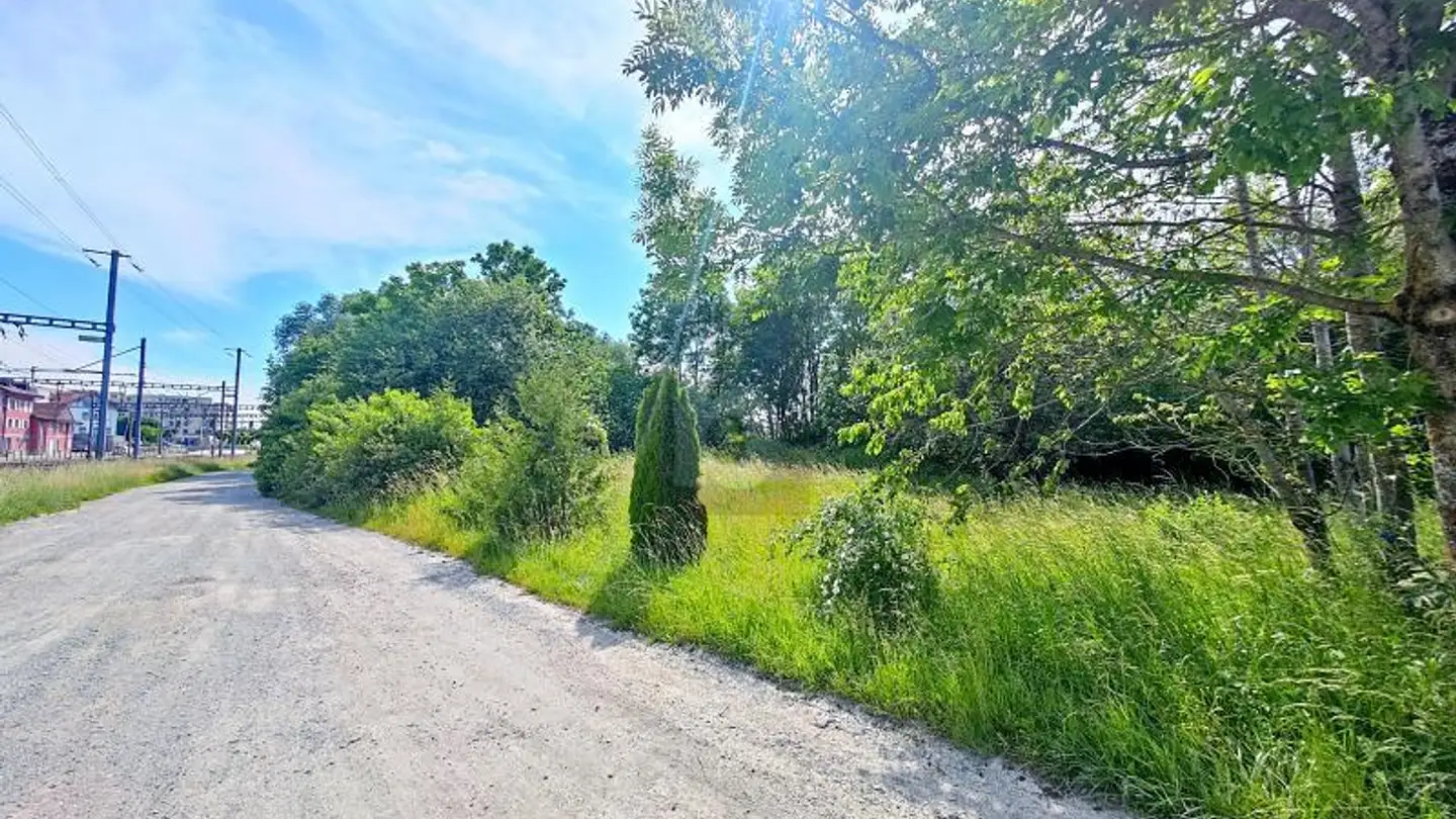 Terrain constructible à vendre - 1680 Romont FR - Photo 3