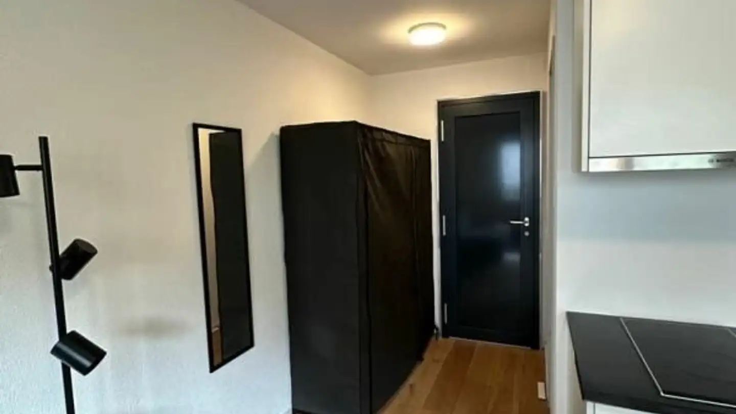 Studio in affitto - Hintere Gasse 18, 3700 Spiez - Photo 2