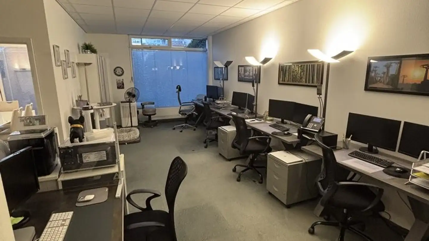 Office space for rent - Chemin D'eysins 53, 1260 Nyon