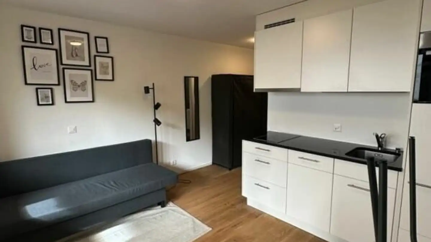 Studio in affitto - Hintere Gasse 18, 3700 Spiez - Photo 4