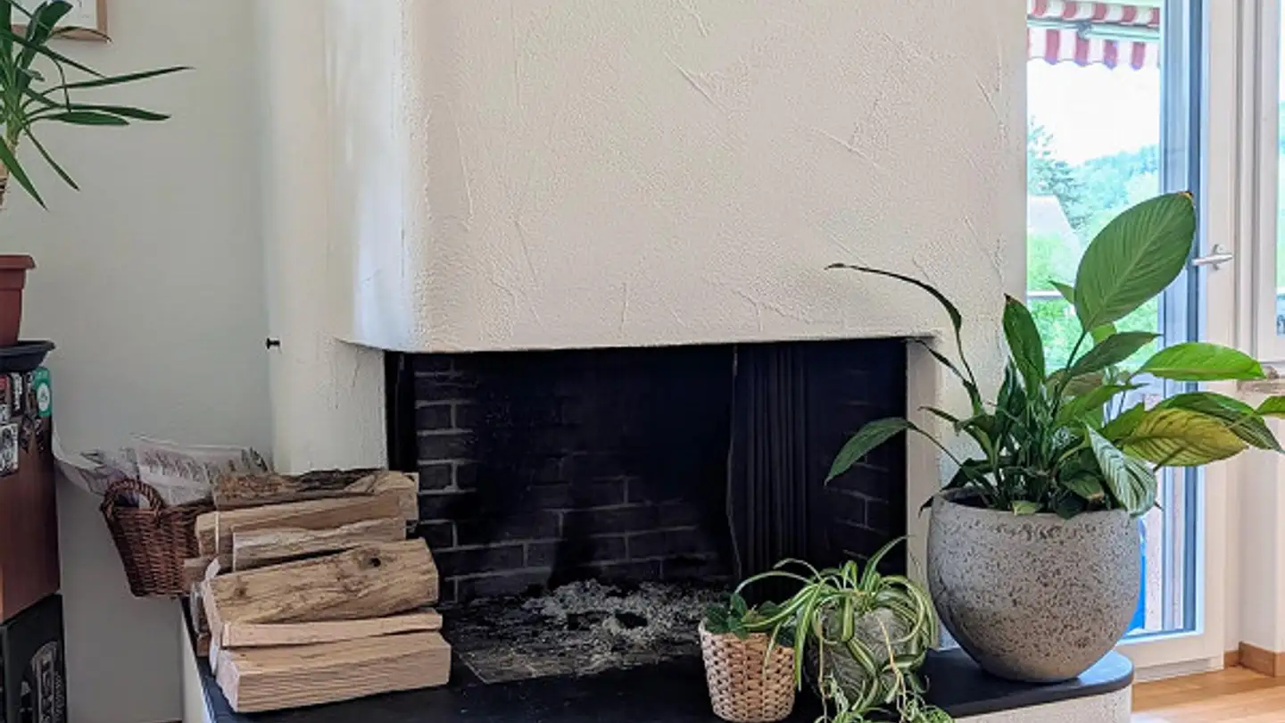 Apartment for rent - Alte Landstrasse 15, 8800 Thalwil - Photo 4