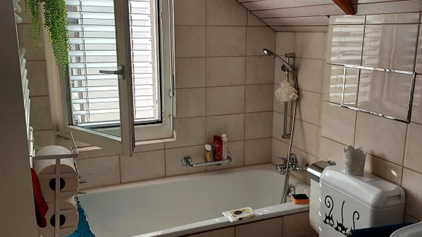 Penthouse mieten - Kernmattstrasse 8b, 4102 Binningen - Foto 3