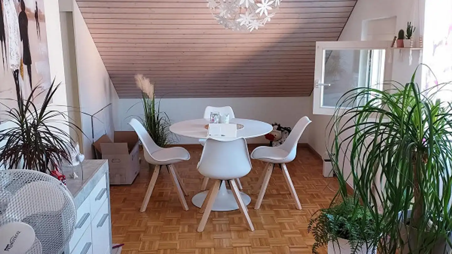 Penthouse mieten - Kernmattstrasse 8b, 4102 Binningen - Foto 4