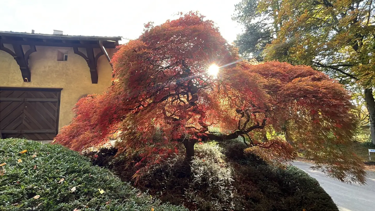 Appartamento in affitto - Haldenstrasse 90b, 8400 Winterthur - Foto 4