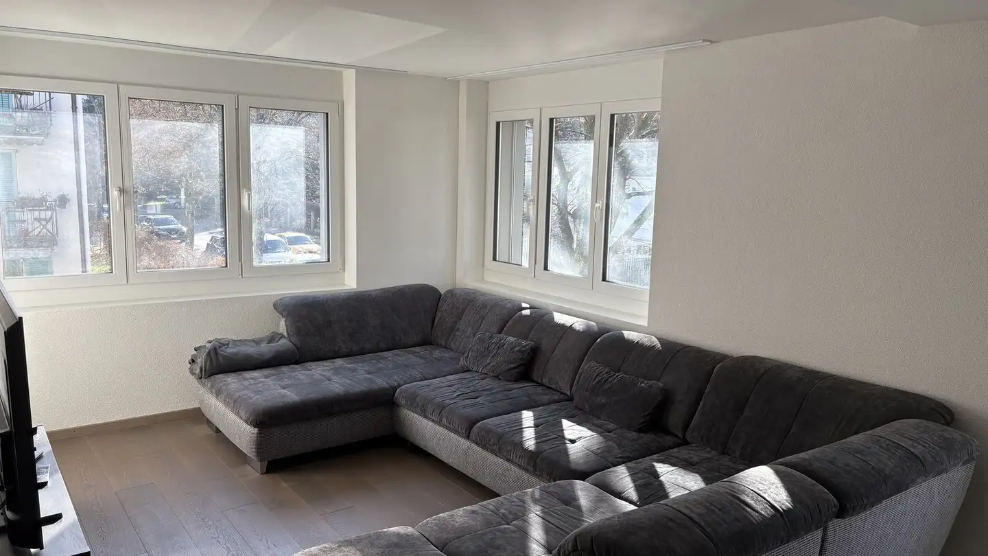 Appartement à louer - Triemlistrasse 95, 8047 Zürich - Photo 3