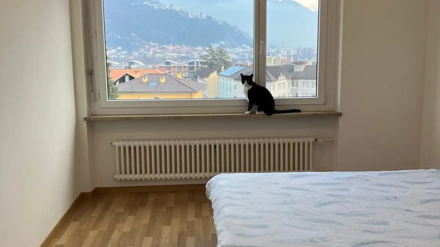 Appartement à louer - Via Ai Molini, 6616 Losone - Photo 2