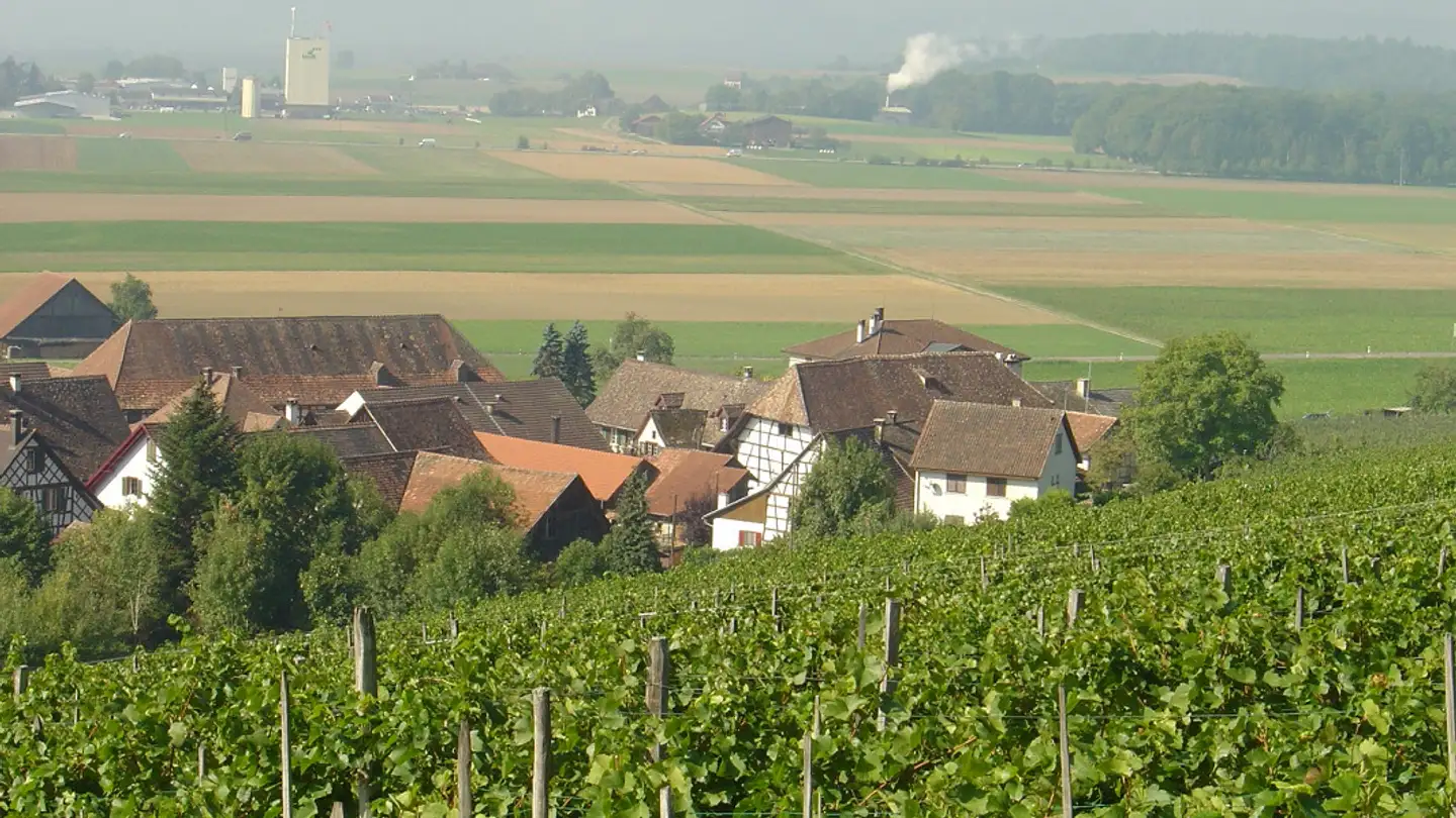 Penthouse for rent - Dorfstrasse 1, 8465 Rudolfingen - Photo 2