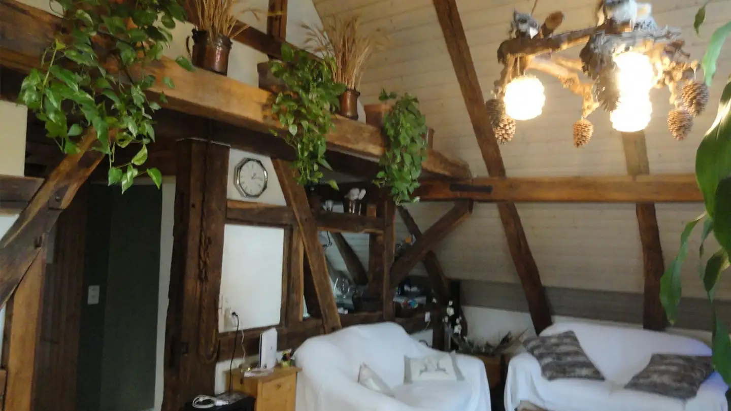 Penthouse for rent - Dorfstrasse 1, 8465 Rudolfingen - Photo 4