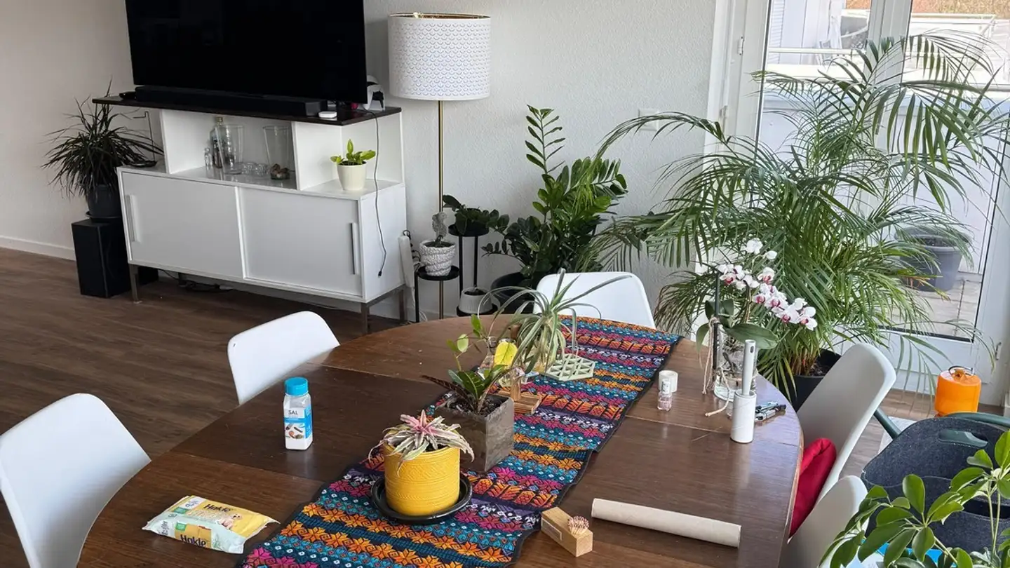 Stanza singola in affitto - Schönbühlring 3, 6005 Luzern - Foto 4