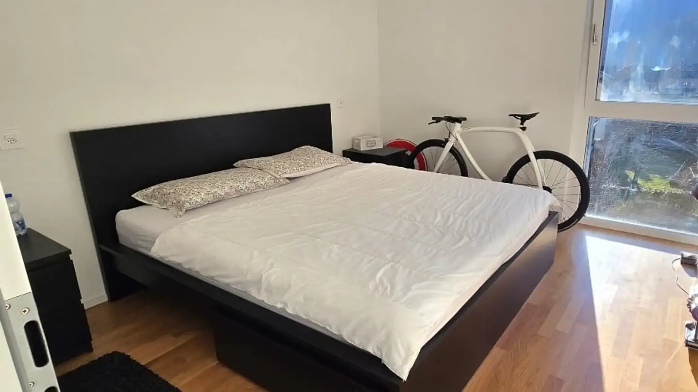 Appartement à louer - Birreria, 6537 Grono - Photo 4