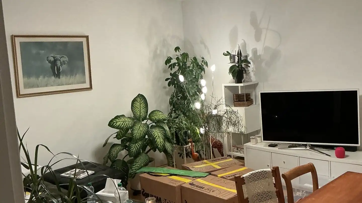 Appartamento in affitto - 8752 Näfels
