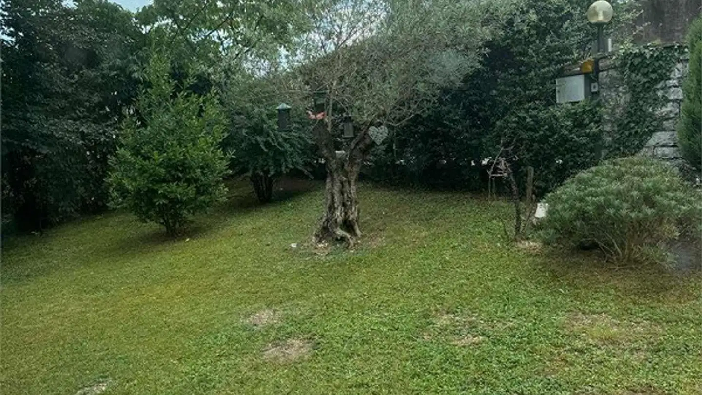 Villa kaufen - 6877 Coldrerio - Foto 3