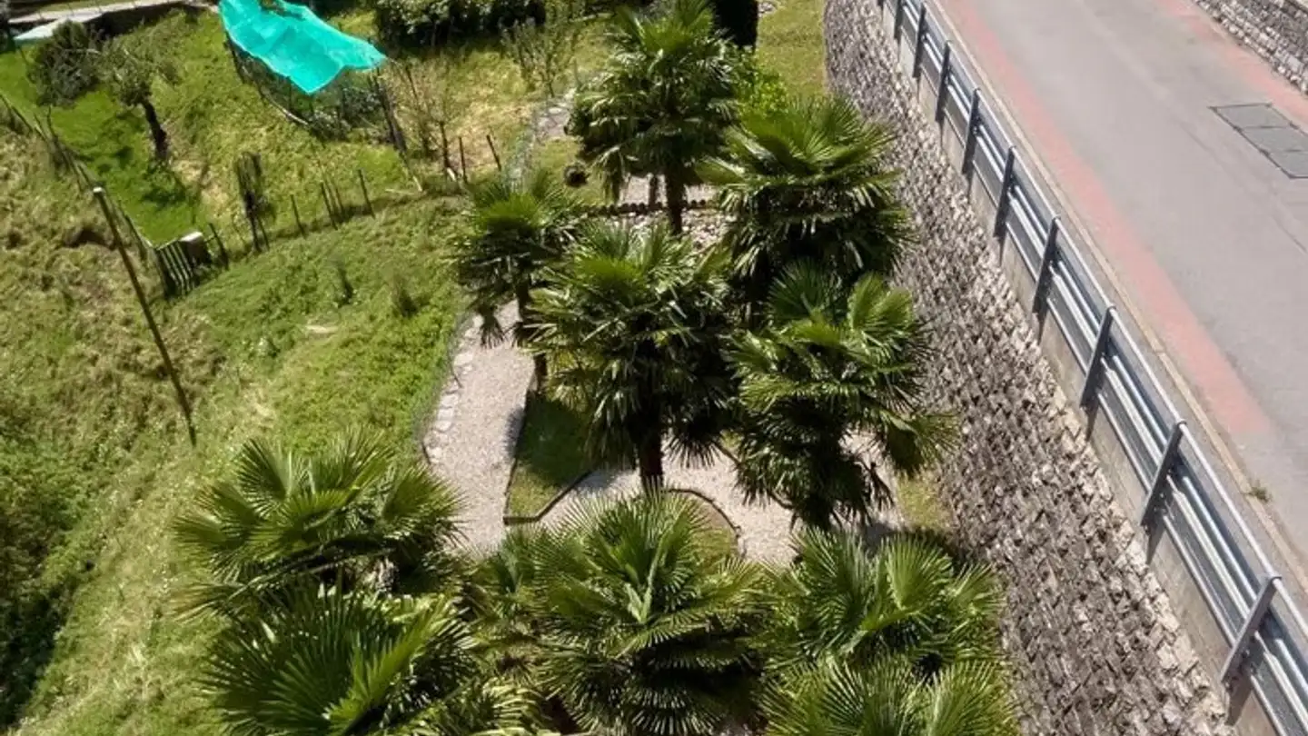 Villa kaufen - Via Strada Nuova 64, 6822 Arogno - Foto 4