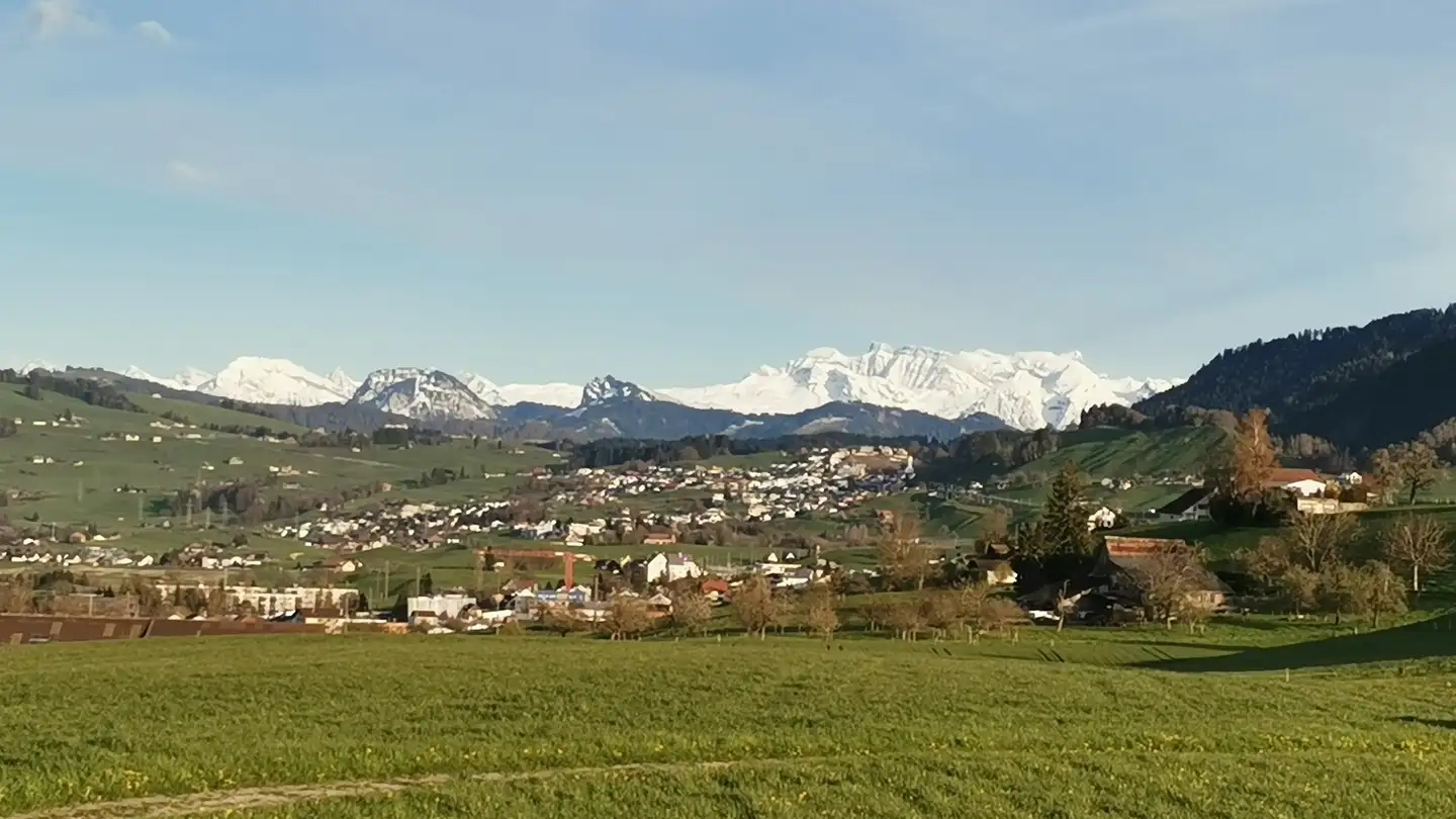Chambre à louer - 8820 Wädenswil - Photo 4