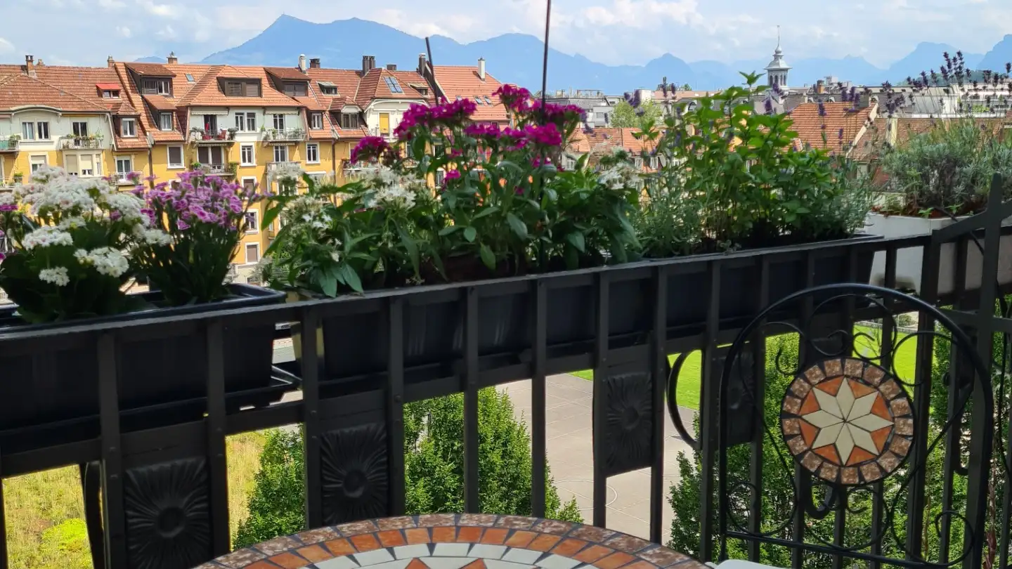 Apartment for rent - Vonmattstrasse 22, 6003 Luzern - Photo 2