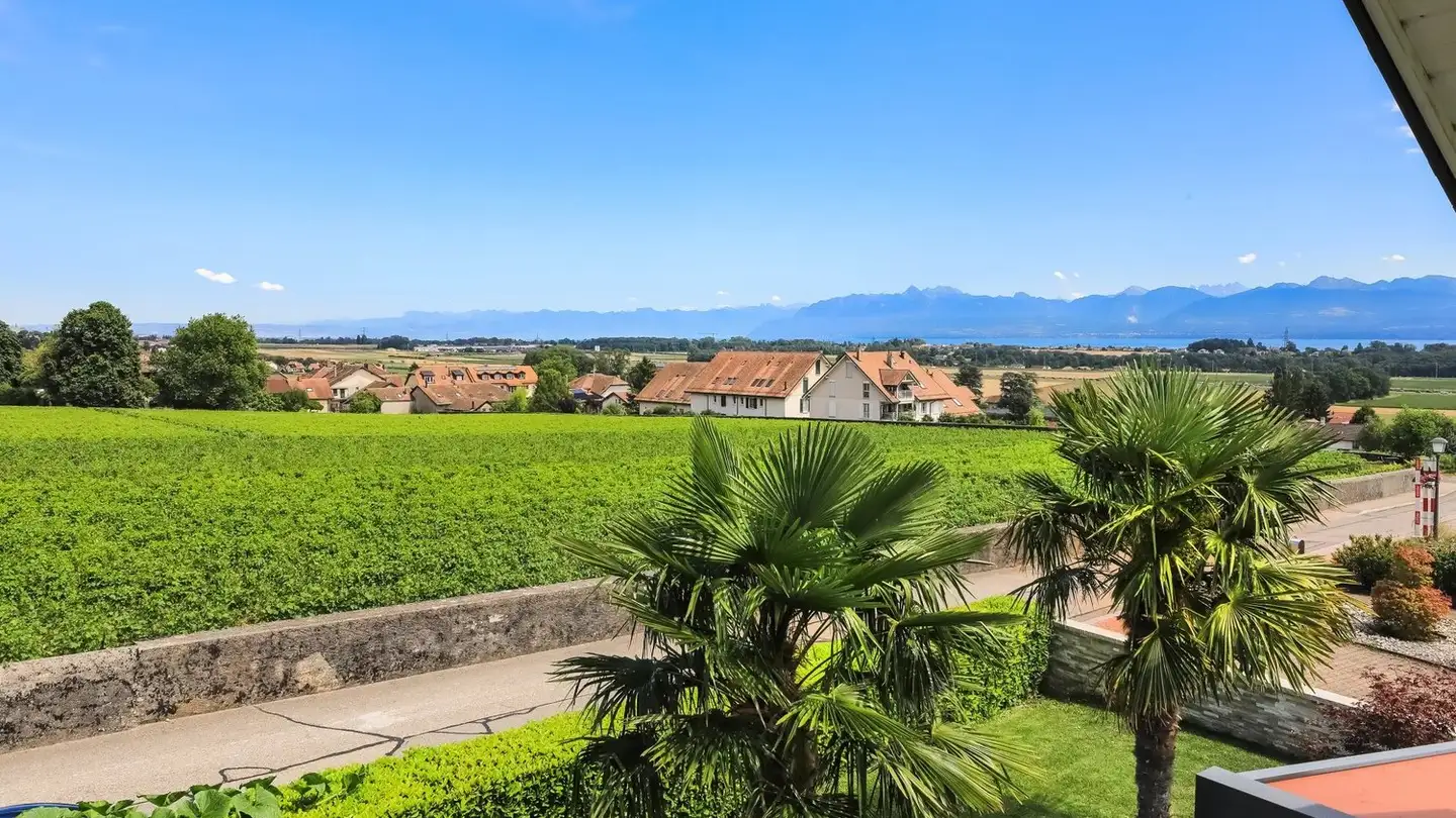 Single house for sale - 1184 Luins - Photo 2