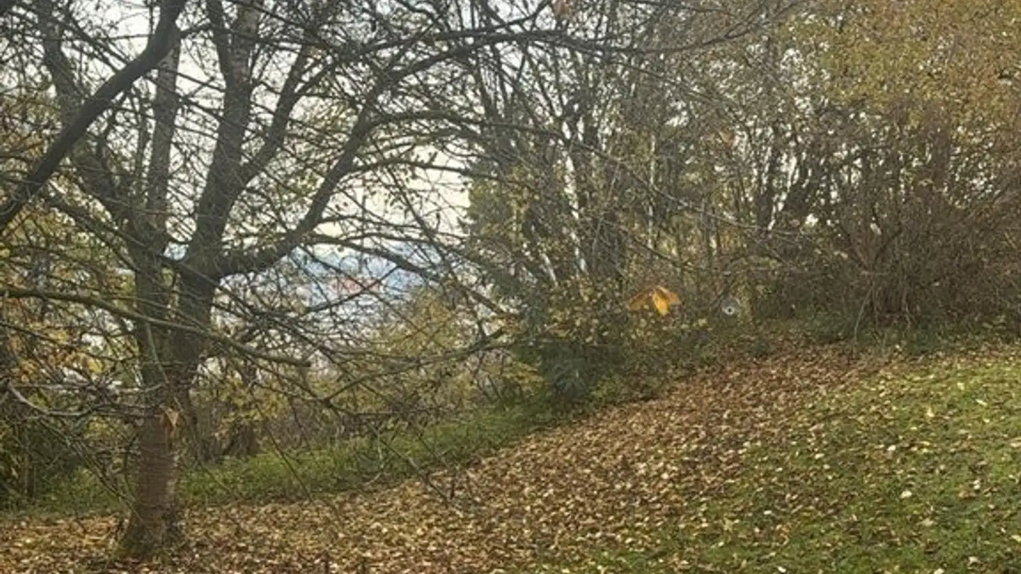 Apartment for rent - Tägernstrasse 2c, 8127 Forch