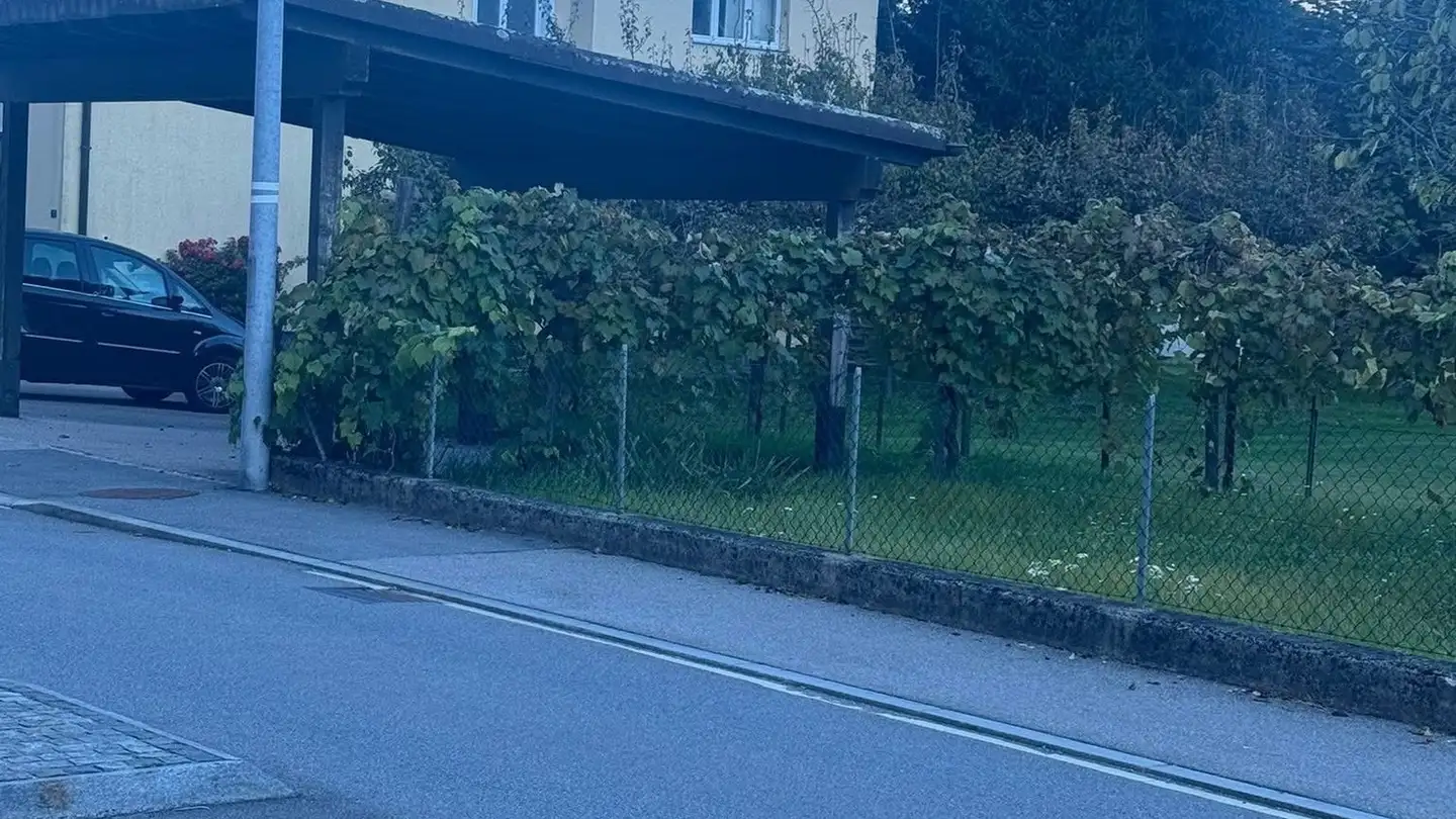 Single house for sale - Via Cantonale 85, 6573 Magadino - Photo 3