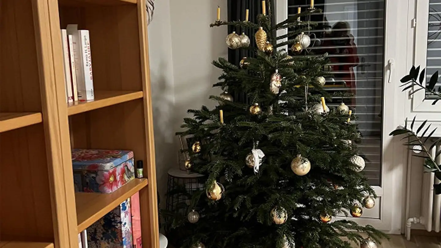 Penthouse for rent - Rietstrasse 19, 9443 Widnau - Photo 4