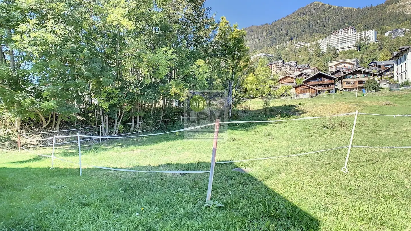 Property for sale - 1854 Leysin