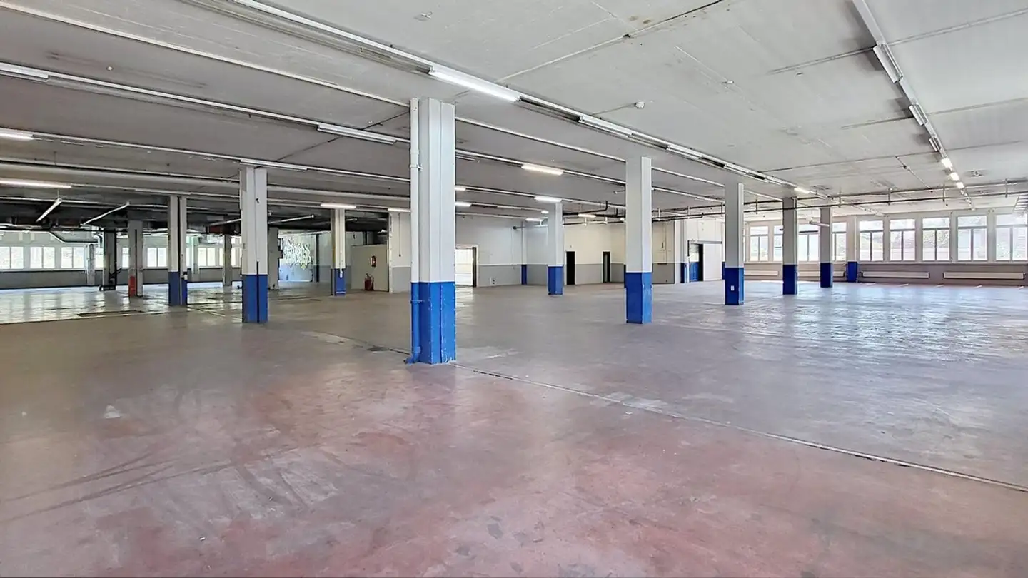 Commercial à louer - Gewerbestrasse 16, 8132 Egg b. Zürich - Photo 2