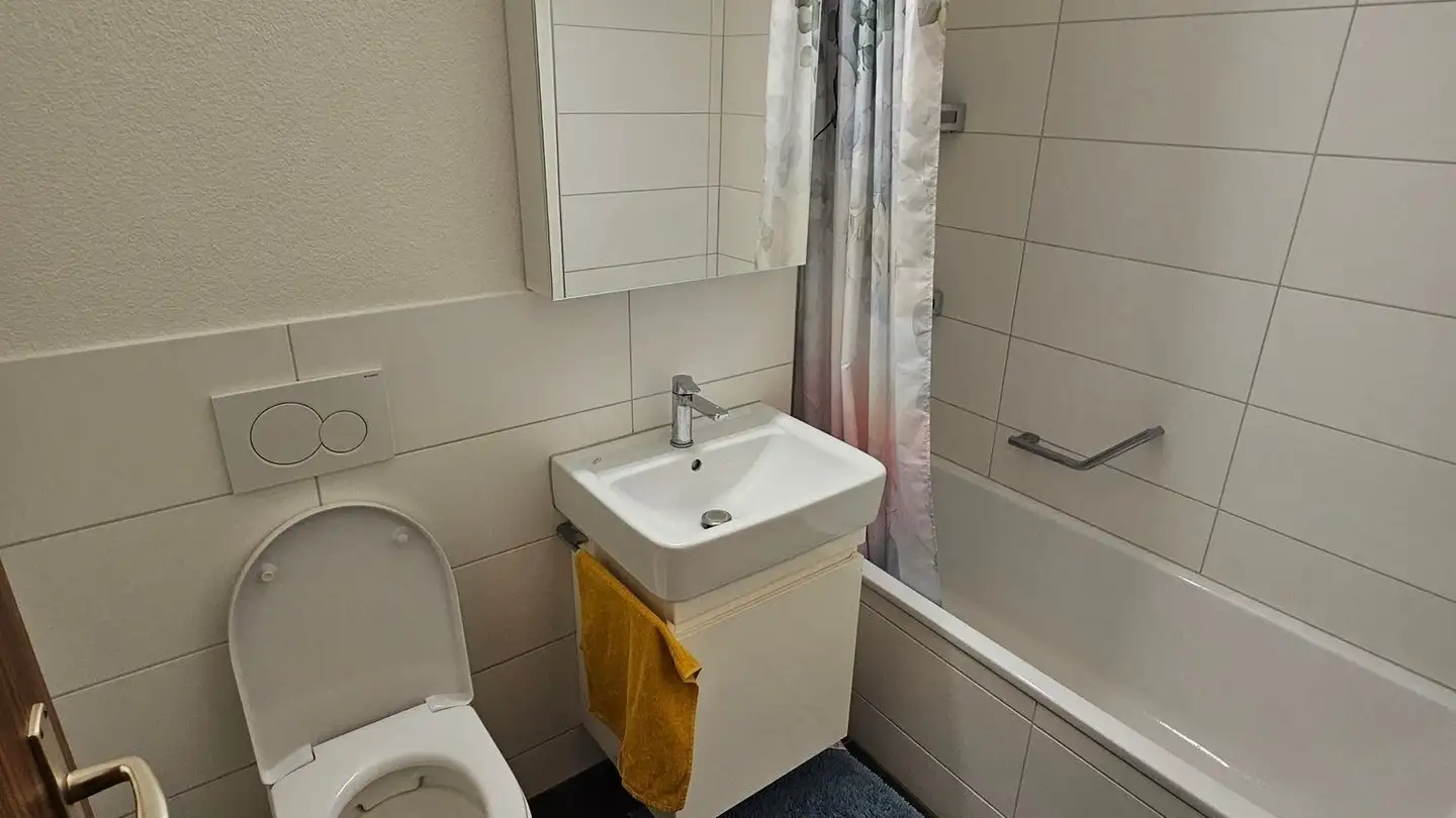 Appartamento in affitto - Alte Jonastrasse 45a, 8640 Rapperswil SG - Foto 3