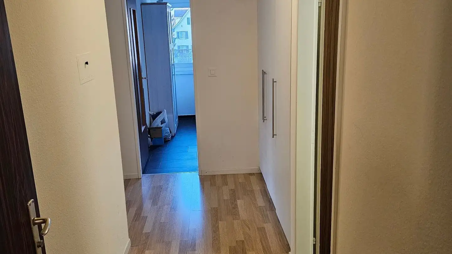 Appartamento in affitto - Alte Jonastrasse 45a, 8640 Rapperswil SG - Foto 4