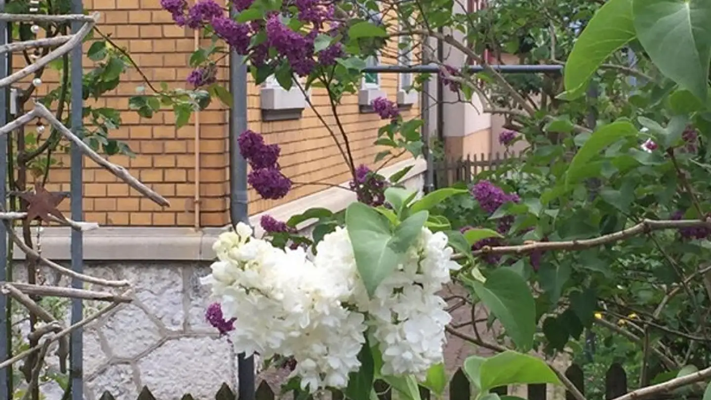 Appartamento in affitto - Tannenstrasse 55, 9010 St. Gallen