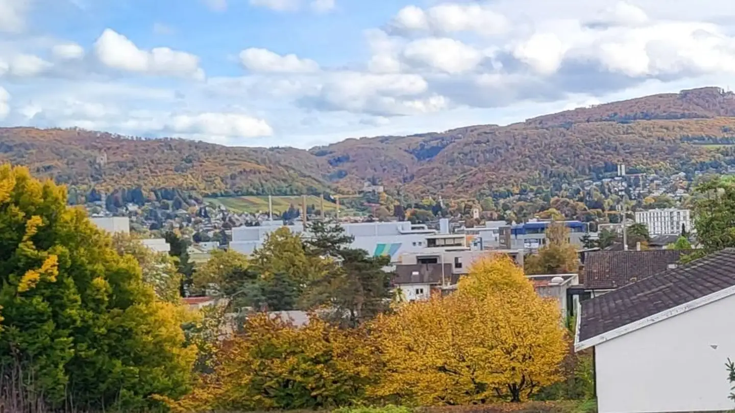 Dachgeschosswohnung mieten - Hinterlindenweg 2, 4153 Reinach BL